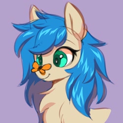Size: 3000x3000 | Tagged: safe, artist:ask-colorsound, oc, oc only, butterfly, pony, butterfly on nose, chest fluff, cute, female, high res, insect on nose, mare, smiling, solo