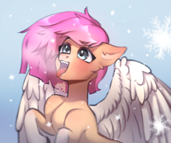 Size: 3472x2896 | Tagged: safe, artist:azaani, oc, oc only, pegasus, pony, high res, pegasus oc, redraw, solo, wings