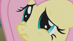 Size: 1280x720 | Tagged: safe, screencap, fluttershy, pegasus, pony, dragonshy, g4, season 1, close-up, cute, female, frown, mare, nose wrinkle, sad, sadorable, shyabetes, solo