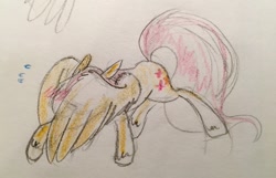 Size: 1280x822 | Tagged: safe, artist:kluzart, fluttershy, pony, g4, solo, traditional art, wing hands, wings