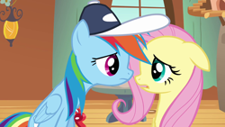 Size: 1280x720 | Tagged: safe, screencap, fluttershy, rainbow dash, pegasus, pony, g4, hurricane fluttershy, coach rainbow dash, coaching cap, coaching whistle, duo, floppy ears, folded wings, frown, hat, looking at each other, looking at someone, now kiss, rainbow dashs coaching whistle, whistle, wings