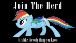 Size: 854x480 | Tagged: safe, artist:forest rain, artist:maximillianveers, rainbow dash, pegasus, pony, g4, 2012, animated, brony history, brony music, cover art, cute, female, join the herd, link in description, music, nostalgia, solo, sound, sound only, webm, youtube link