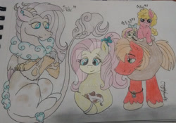 Size: 1920x1344 | Tagged: safe, artist:monse2001, big macintosh, fluttershy, oc, oc:apple blossom, oc:naima, oc:red love, dog, draconequus, earth pony, hybrid, pegasus, pony, g4, colt, deviantart watermark, draconequus oc, family, female, filly, freckles, hair accessory, half-siblings, horse collar, interspecies offspring, male, mare, obtrusive watermark, offspring, parent:big macintosh, parent:discord, parent:fluttershy, parents:discoshy, parents:fluttermac, pet oc, puppy, ship:fluttermac, shipping, signature, stallion, step-daughter, step-father, stepfather, straight, traditional art, watermark