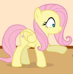 Size: 375x382 | Tagged: safe, artist:forgalorga, fluttershy, pegasus, pony, your little cat, g4, :<, animated, behaving like a cat, cropped, cute, female, gif, looking at you, mare, shyabetes, solo, touching, weapons-grade cute