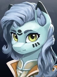 Size: 1560x2100 | Tagged: safe, artist:printik, oc, oc only, earth pony, pony, equestria at war mod, bust, clothes, ear fluff, female, looking at you, mare, markings, portrait, solo