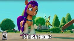 Size: 892x500 | Tagged: safe, edit, shimmerwing, sunny starscout, butterfly, earth pony, pony, g5, my little pony: a maretime bay adventure, is this a pigeon, meme, ponified meme