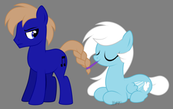 Size: 2500x1568 | Tagged: safe, artist:feather_bloom, oc, oc:blue_skies, oc:feather bloom(fb), oc:feather_bloom, earth pony, pegasus, pony, annoyed, braided tail, couple, duo, earth pony oc, funny, gray background, pegasus oc, show accurate, simple background, tail