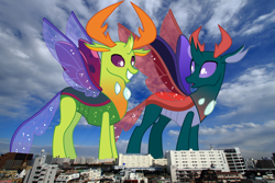 Size: 3000x2000 | Tagged: safe, artist:frownfactory, artist:thegiantponyfan, pharynx, thorax, changedling, changeling, g4, antlers, brothers, changedling brothers, duo, duo male, giant changeling, grin, high res, highrise ponies, horn, irl, japan, king thorax, looking back, macro, male, mega giant, open mouth, photo, ponies in real life, prince pharynx, siblings, smiling, spread wings, standing, story included, tokyo, wings