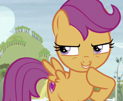 Size: 872x719 | Tagged: safe, screencap, scootaloo, pegasus, pony, g4, hard to say anything, cropped, evil smile, grin, smiling, solo, thinking