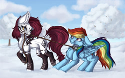 Size: 1024x644 | Tagged: safe, artist:maneblue, rainbow dash, oc, pegasus, pony, g4, chest fluff, clothes, collar, ear fluff, female, femdom, floppy ears, leash, looking back, outdoors, pegasus oc, raised hoof, snow, socks, tree, wings, worried