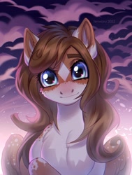Size: 1963x2600 | Tagged: safe, artist:fenwaru, oc, oc only, oc:mabel, pegasus, pony, blue eyes, blushing, cloud, coat markings, commission, facial markings, looking at you, pegasus oc, pinto, solo, star (coat marking), ych result