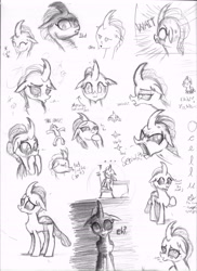 Size: 5100x7016 | Tagged: safe, artist:johnerose126, ocellus, changedling, changeling, g4, absurd resolution, expressions, monochrome, solo, traditional art