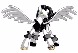 Size: 4133x2834 | Tagged: safe, artist:vesmirart, oc, oc only, pegasus, pony, angry, clothes, pegasus oc, simple background, solo, spread wings, unshorn fetlocks, white background, wings