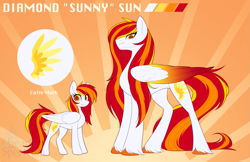 Size: 1589x1027 | Tagged: safe, artist:scarlet-spectrum, oc, oc only, oc:diamond sun, pegasus, pony, colored wings, commission, cutie mark, female, height difference, mare, reference sheet, slender, tall, thin, unshorn fetlocks, watermark, wings