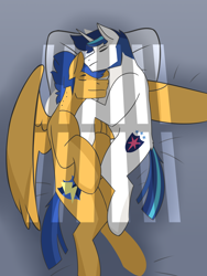 Size: 2700x3600 | Tagged: safe, artist:daotterguy, flash sentry, shining armor, pegasus, pony, unicorn, g4, duo, gay, high res, male, shiningsentry, shipping, stallion