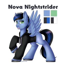Size: 3000x3000 | Tagged: safe, artist:xcinnamon-twistx, oc, oc only, oc:nova nightstrider, pegasus, pony, clothes, commission, high res, hoodie, male, raised hoof, reference sheet, simple background, solo, transparent background
