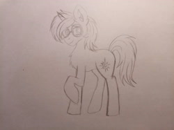 Size: 4608x3456 | Tagged: safe, artist:dreamy990, oc, oc only, oc:shadow twinkle, pony, unicorn, glasses, round glasses, solo, traditional art