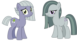 Size: 2803x1500 | Tagged: safe, artist:sketchmcreations, limestone pie, marble pie, earth pony, pony, g4, duo, female, frown, looking at you, mare, personality swap, pi day, pie sisters, siblings, simple background, sisters, standing, transparent background, vector
