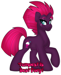 Size: 1280x1596 | Tagged: safe, artist:missbramblemele, fizzlepop berrytwist, tempest shadow, pony, unicorn, g4, best pony, broken horn, female, hooves, horn, mare, raised hoof, simple background, smiling, solo, sparkly eyes, standing, tail, text, transparent background, wingding eyes