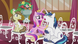 Size: 1280x720 | Tagged: safe, screencap, hayseed turnip truck, princess cadance, shining armor, alicorn, earth pony, pony, unicorn, g4, season 5, slice of life (episode), chair, comforting, crying, crying armor female, male, mare, raised hoof, sad, stallion, teary eyes, trio, whining armor