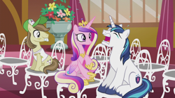 Size: 1280x720 | Tagged: safe, screencap, hayseed turnip truck, princess cadance, shining armor, alicorn, earth pony, pony, unicorn, g4, season 5, slice of life (episode), chair, crying, crying armor, female, male, mare, sad, sad armor, sitting, stallion, teary eyes, trio, wedding day, whining, whining armor