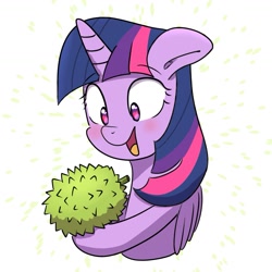 Size: 1575x1575 | Tagged: safe, artist:yinglung, artist:yinglungdraws, twilight sparkle, alicorn, pony, blushing, cute, durian, food, fruit, herbivore, horn, open mouth, simple background, solo, this will end in tears, twiabetes, twilight sparkle (alicorn), white background