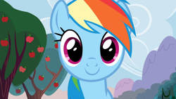 Size: 1920x1080 | Tagged: safe, screencap, rainbow dash, pegasus, pony, g4, season 2, the super speedy cider squeezy 6000, apple, apple tree, cute, dashabetes, female, looking at you, mare, outdoors, smiling, smiling at you, solo, sweet apple acres, tree