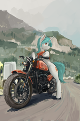 Size: 3587x5425 | Tagged: safe, artist:龙宠, oc, oc only, oc:emily, pony, unicorn, absurd resolution, female, motorcycle, scenery, shanher's trip, solo, tail