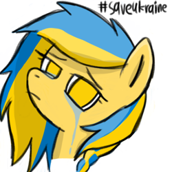 Size: 1000x1000 | Tagged: safe, artist:symphonydawn3, oc, oc only, oc:ukraine, pony, bust, crying, current events, female, looking at you, mare, nation ponies, ponified, sad, simple background, ukraine