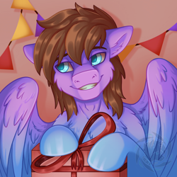 Size: 2000x2000 | Tagged: safe, artist:fkk, oc, oc only, oc:luck, pegasus, pony, birthday, gift art, happy, high res, male, present, smiling, solo, stallion, wings