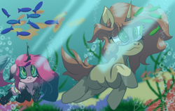 Size: 1280x811 | Tagged: safe, artist:brybrychan, oc, oc only, changeling, fish, pony, unicorn, bubble, crepuscular rays, date, disguise, disguised changeling, duo, female, green eyes, horn, male, mare, ocean, rock, seaweed, signature, stallion, sunlight, swimming, underwater, water