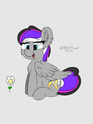 Size: 1536x2048 | Tagged: safe, artist:lunastaralight, oc, oc only, pegasus, pony, g4, cheek fluff, chest fluff, digital art, ear fluff, eye clipping through hair, eyebrows, eyebrows visible through hair, flower, folded wings, full body, gray background, heart eyes, hooves, multicolored mane, multicolored tail, open mouth, open smile, pegasus oc, signature, simple background, sitting, smiling, solo, tail, wingding eyes, wings