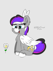 Size: 1536x2048 | Tagged: safe, alternate version, artist:lunastaralight, oc, oc only, pegasus, pony, g5, my little pony: a new generation, cheek fluff, chest fluff, coat markings, colored hooves, colored wings, digital art, ear fluff, eye clipping through hair, eyebrows, eyebrows visible through hair, facial markings, flower, folded wings, full body, gray background, heart eyes, hooves, multicolored mane, multicolored tail, open mouth, open smile, pegasus oc, signature, simple background, sitting, smiling, snip (coat marking), solo, tail, unshorn fetlocks, wingding eyes, wings
