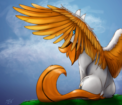 Size: 2500x2160 | Tagged: safe, artist:tenebrisnoctus, oc, oc only, oc:feather river, pegasus, pony, high res, solo, spread wings, wings