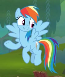 Size: 960x1132 | Tagged: safe, screencap, rainbow dash, pegasus, pony, g4, the end in friend, cropped, female, flying, mare, solo