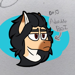 Size: 1975x1975 | Tagged: safe, artist:drheartdoodles, oc, oc:valentino, colored, digital art, flat colors, long hair, male, multicolored, stallion