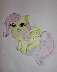 Size: 2994x3742 | Tagged: safe, artist:magarnadge, fluttershy, cat, g4, catified, fluttercat, high res, solo, species swap, traditional art