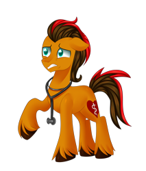 Size: 3400x4000 | Tagged: safe, artist:kaikururu, oc, oc only, earth pony, pony, earth pony oc, male, raised hoof, simple background, solo, stallion, stethoscope, transparent background, unshorn fetlocks, worried