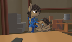Size: 2796x1656 | Tagged: safe, artist:fess, oc, oc:mazz, pegasus, pony, fallout equestria, chair, clothes, commission, desk, detailed background, ear fluff, filing cabinet, scowl, solo, wings, ych result
