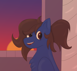 Size: 6000x5500 | Tagged: safe, artist:vespermoon, oc, oc:stormy nights, pegasus, pony, bust, canterlot, eye clipping through hair, looking at you, open mouth, open smile, pegasus oc, portrait, smiling, sunset