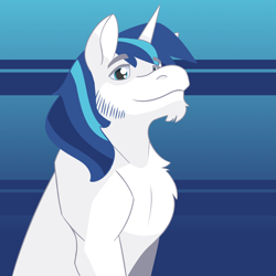 Size: 2700x2700 | Tagged: safe, artist:daotterguy, shining armor, pony, unicorn, g4, high res, male, solo, stallion