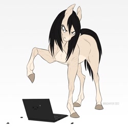 Size: 800x800 | Tagged: safe, artist:dementra369, oc, oc only, oc:kira baer, earth pony, pony, angry, animated at source, computer, hoers, horse problems, laptop computer, simple background, solo, white background