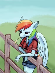 Size: 1536x2048 | Tagged: safe, artist:catscratchpaper, rainbow dash, pegasus, anthro, g4, clothes, female, fence, shorts, solo, straw in mouth