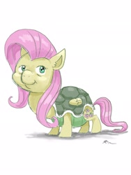 Size: 1536x2048 | Tagged: safe, artist:catscratchpaper, fluttershy, tortoise, g4, female, simple background, solo, species swap, white background