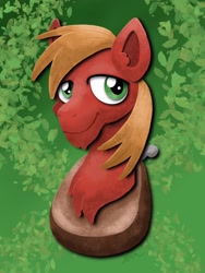 Size: 1536x2048 | Tagged: safe, artist:catscratchpaper, big macintosh, earth pony, pony, g4, bust, male, smiling, solo