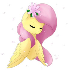 Size: 1334x1450 | Tagged: safe, artist:maravor, fluttershy, pegasus, pony, g4, chest fluff, cute, eyes closed, female, flower, flower in hair, folded wings, mare, petals, shyabetes, simple background, smiling, solo, transparent background, wings