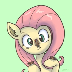 Size: 2048x2048 | Tagged: safe, artist:catscratchpaper, fluttershy, insect, pegasus, pony, g4, cicada, cute, female, green background, high res, insect on nose, simple background, smiling, solo