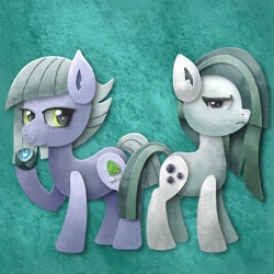 Size: 2048x2048 | Tagged: safe, artist:catscratchpaper, limestone pie, marble pie, earth pony, pony, g4, commission, duo, female, high res