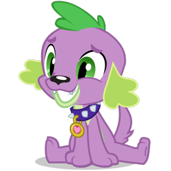 Size: 1400x1399 | Tagged: dead source, safe, spike, spike the regular dog, dog, equestria girls, g4, official, adorable face, collar, cute, fangs, grin, happy, male, nervous, nervous smile, pet tag, simple background, sitting, smiling, solo, spikabetes, spike the dog, tail, transparent background, vector