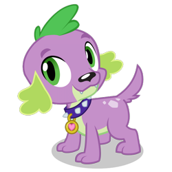 Size: 1400x1400 | Tagged: dead source, safe, spike, spike the regular dog, dog, equestria girls, g4, my little pony equestria girls: rainbow rocks, 2015, collar, fangs, male, pet tag, puppy, simple background, smiling, solo, spike the dog, transparent background, vector